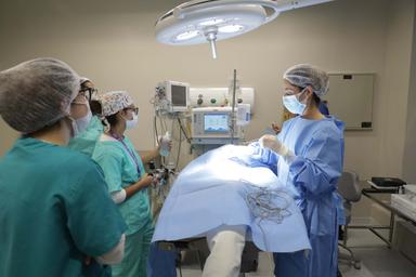 Imagem de representação do prêmio