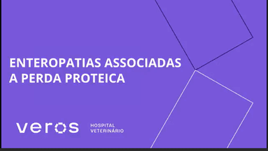 Imagem de representação do prêmio